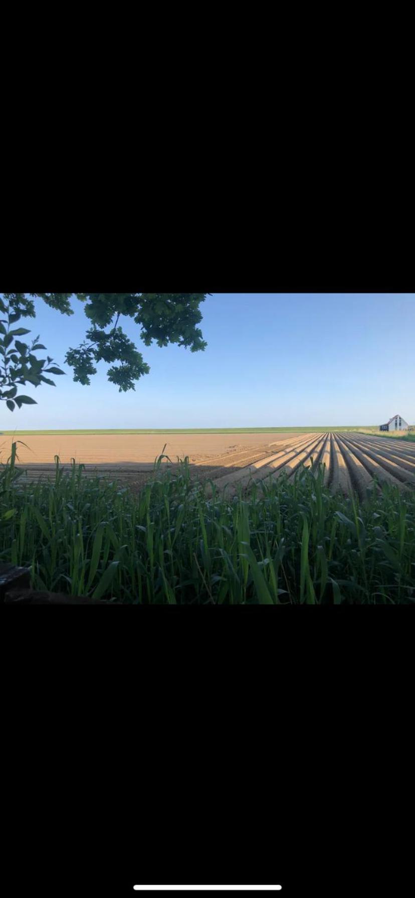 Stacaravan Het Zicht Scherpenisse Bagian luar foto